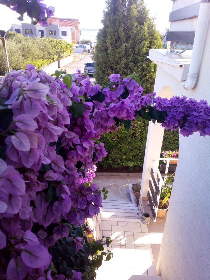 Apartman Milutin Vrsi Exterior foto